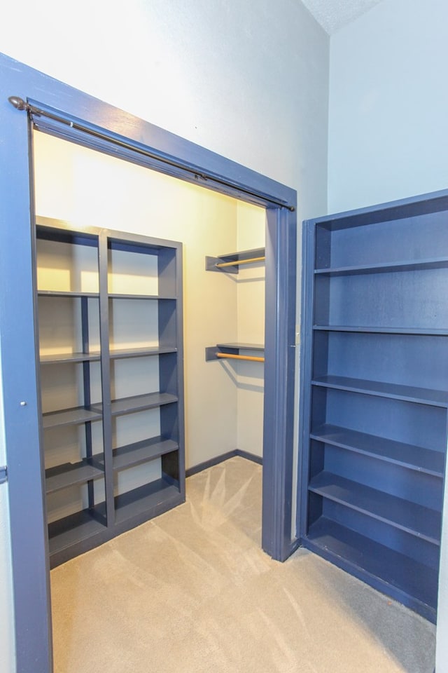 spacious closet featuring carpet floors