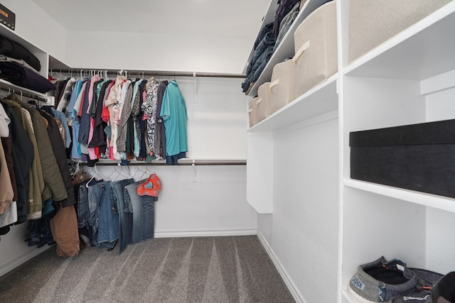 spacious closet with carpet floors