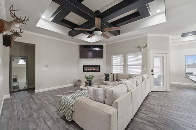 living room with wood-type flooring, a wealth of natural light, and crown molding