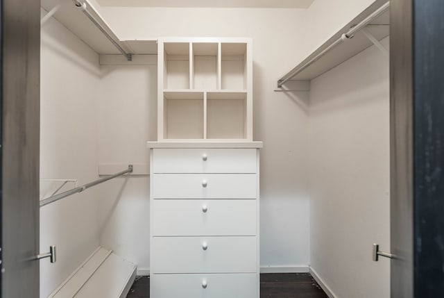 walk in closet featuring dark wood-style floors