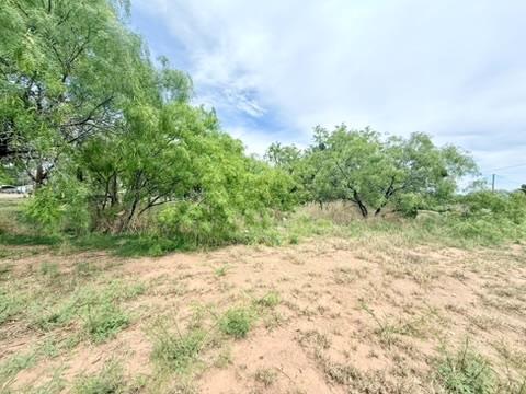 425 S Main St, Coahoma, TX 79511 - photo 1