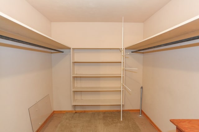 walk in closet featuring carpet floors