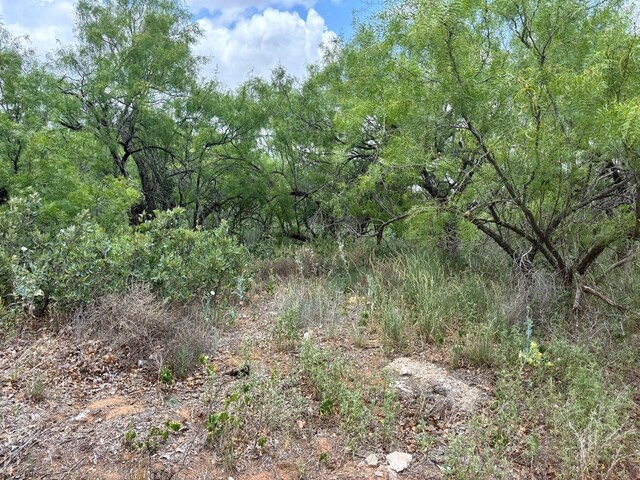 0 Watson, Colorado City, TX 79512 - photo 3
