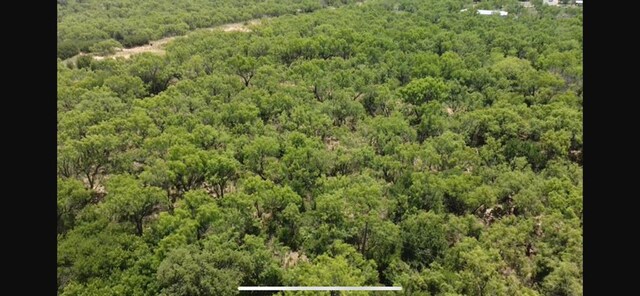 0 Watson, Colorado City, TX 79512 - photo 6