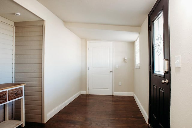 foyer entrance with lofted ceiling, plenty of natural light, and dark hardwood / wood-style floors