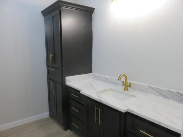 9811 E County Rd 108, Midland, TX 79706 - bathroom with wood finished floors and vanity