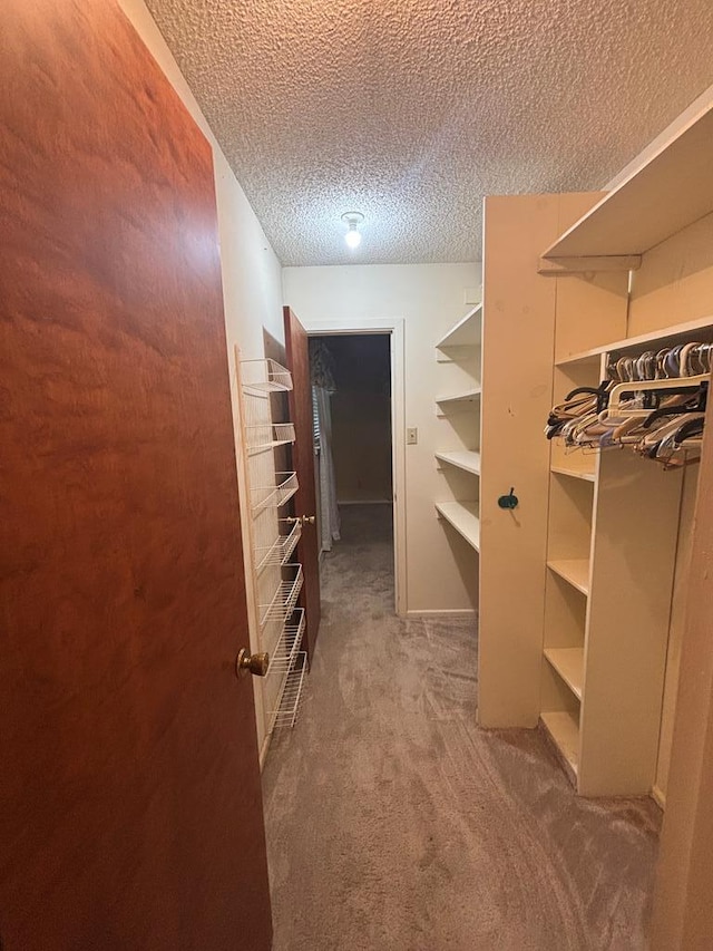 3309 48th St, Snyder, TX 79549 - photo 17