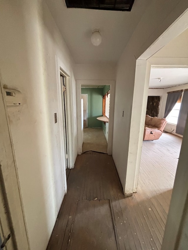 hall with hardwood / wood-style flooring