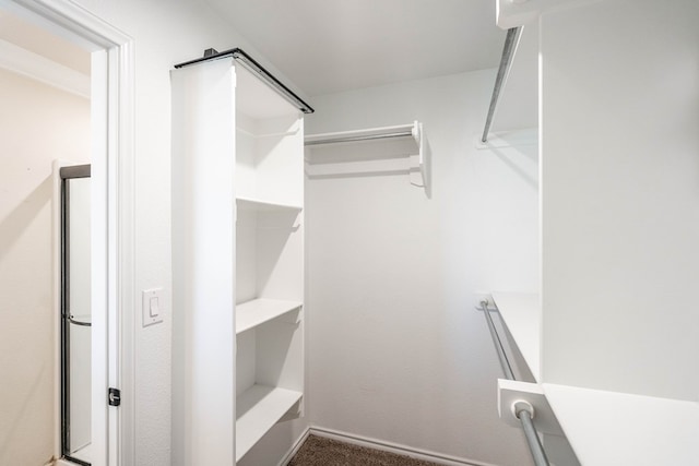 spacious closet featuring dark colored carpet