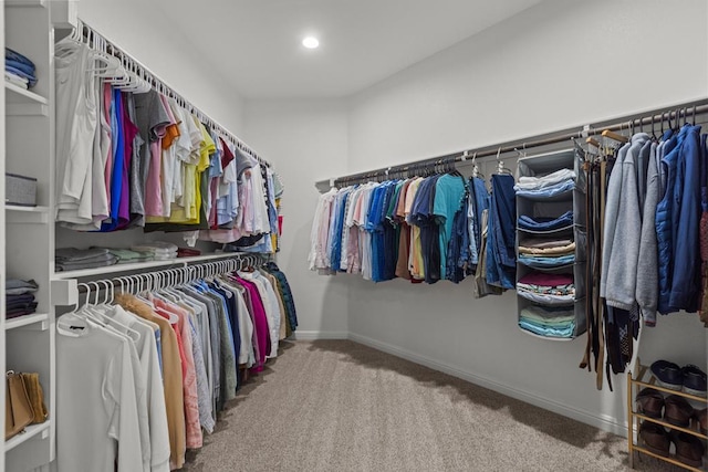 walk in closet featuring carpet