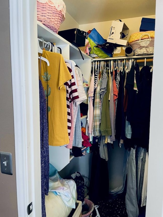 view of spacious closet