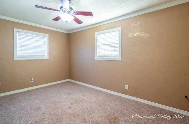 spare room featuring crown molding, ceiling fan, carpet flooring, and a textured ceiling