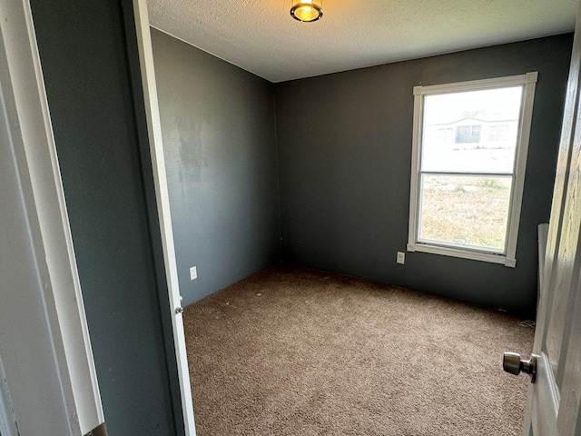 empty room featuring a textured ceiling and carpet floors