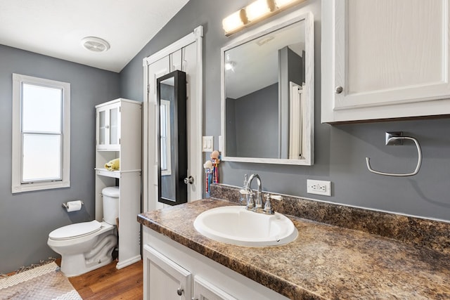 bathroom featuring vanity, toilet, and wood finished floors