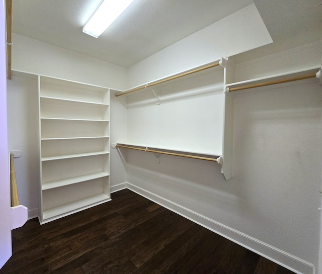 walk in closet with dark hardwood / wood-style flooring