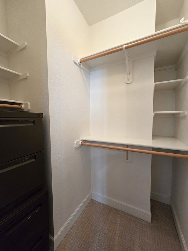 spacious closet with carpet floors