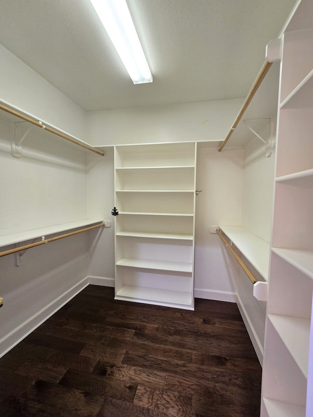 walk in closet with dark wood-type flooring