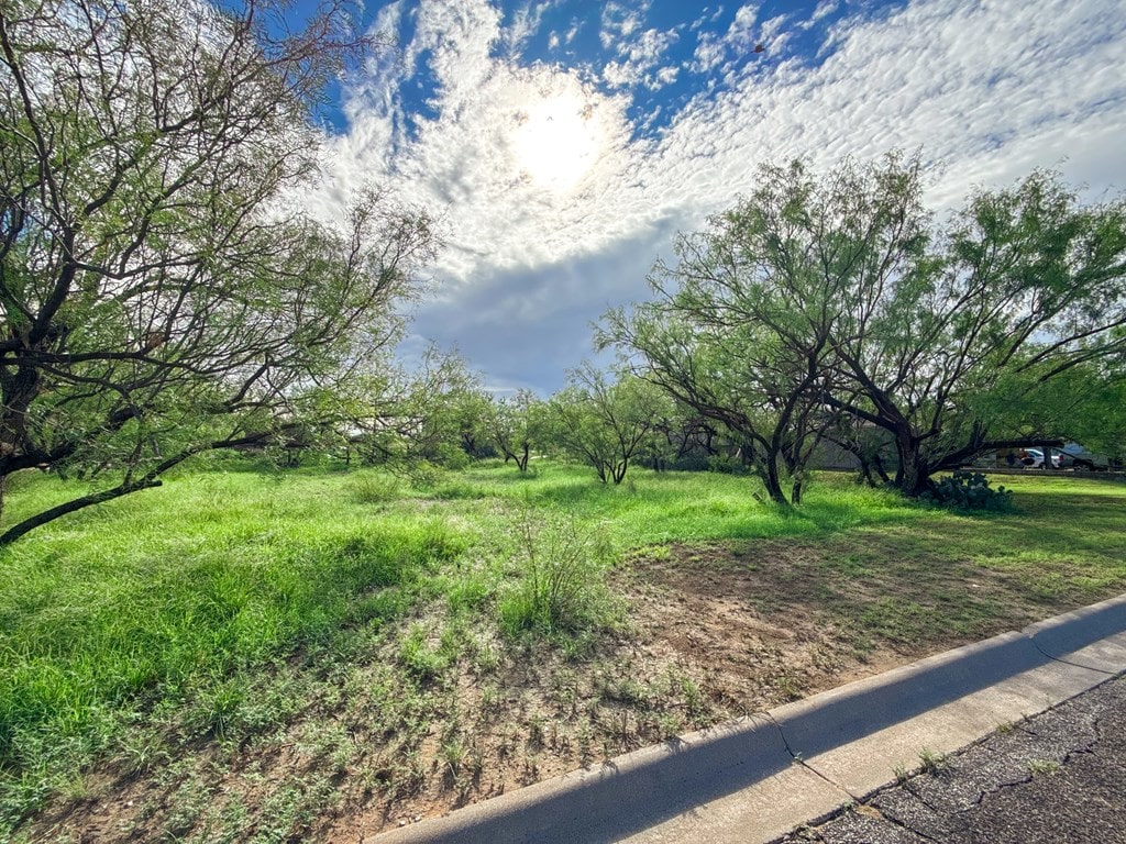 805 Abrams St, Big Spring, TX 79720