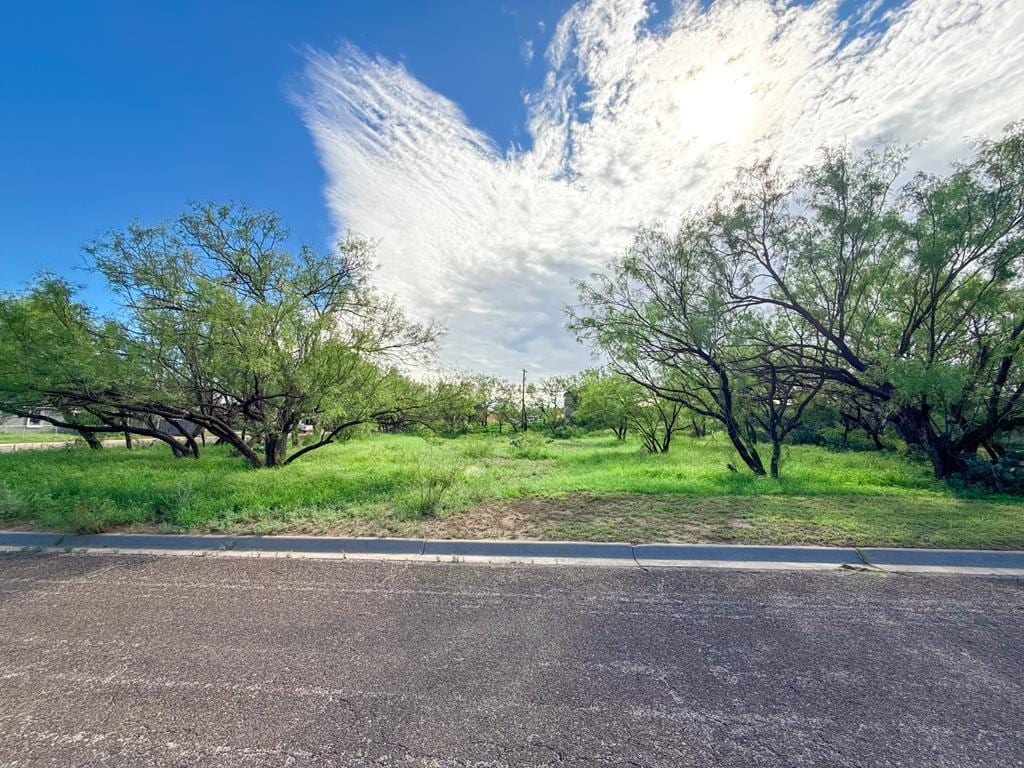805 Abrams St, Big Spring, TX 79720
