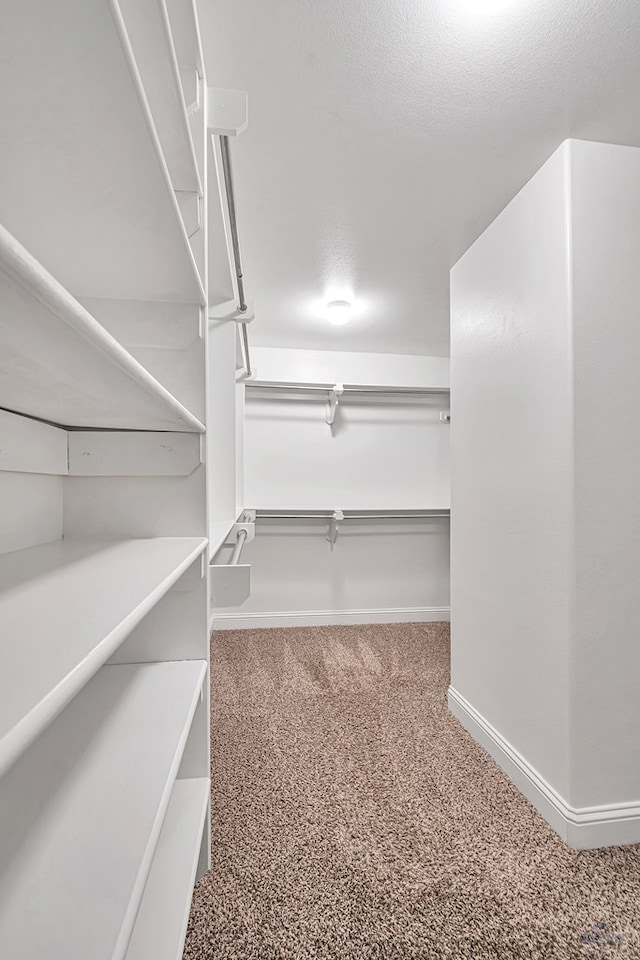 spacious closet with carpet