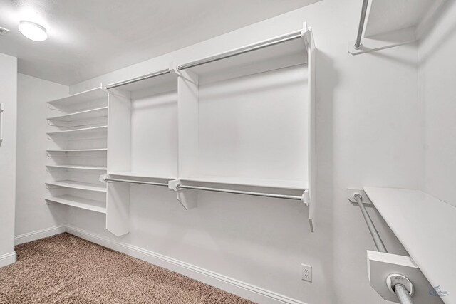 spacious closet featuring carpet flooring