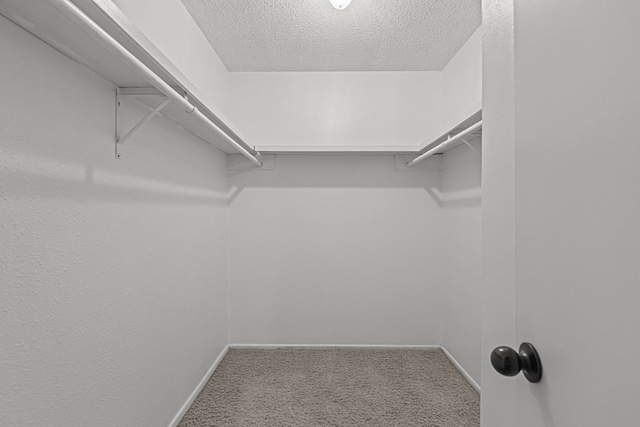 walk in closet with carpet floors