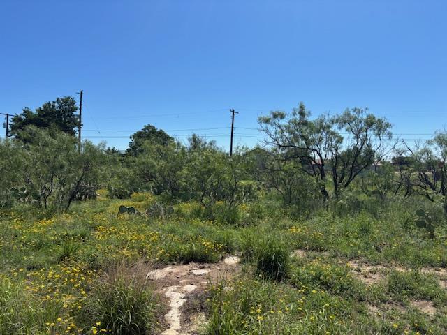 106 W 2nd St, Forsan, TX 79733 - photo 1