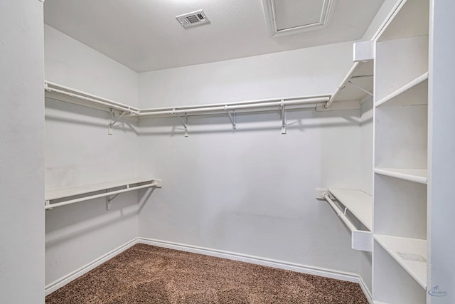 walk in closet with carpet