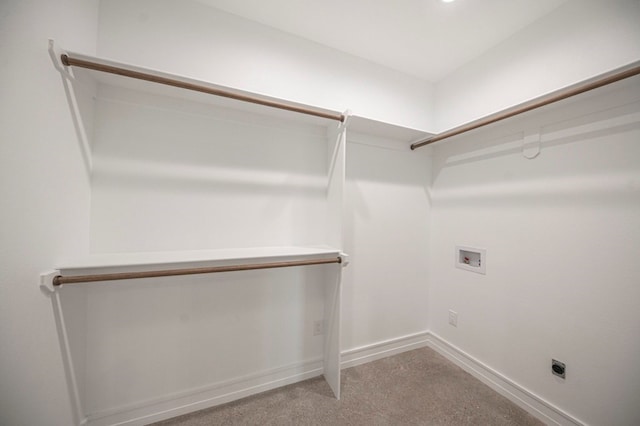 spacious closet featuring light carpet