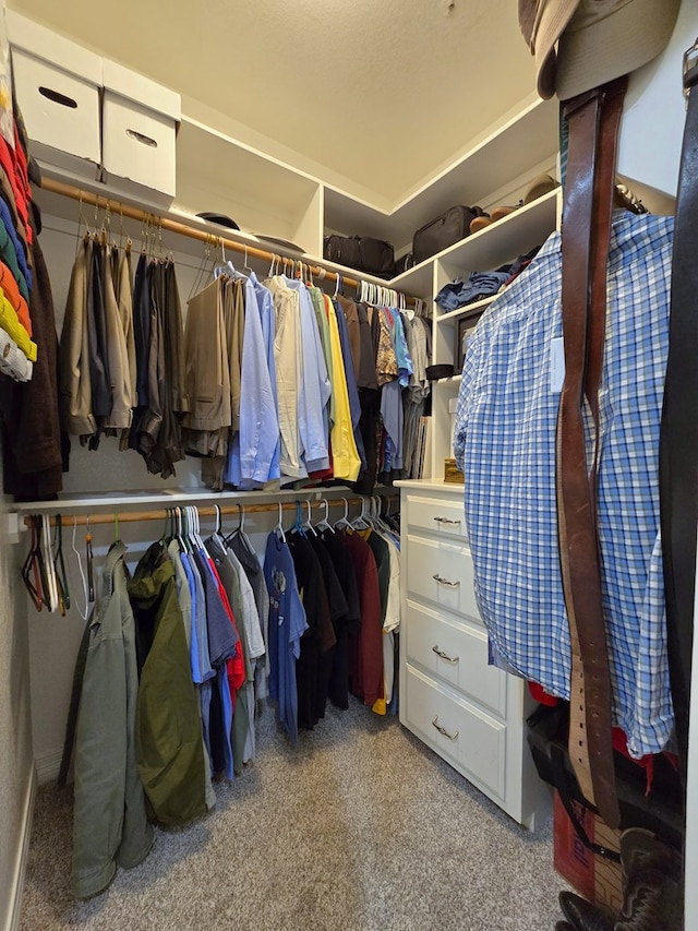 4808 W Cherrywood Ct W, Midland, TX 79707 - spacious closet with light colored carpet