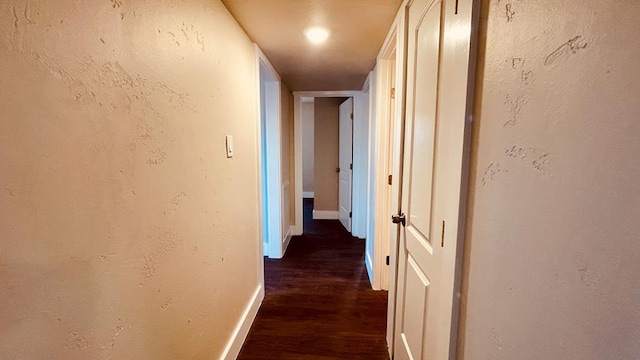 corridor featuring dark wood-type flooring