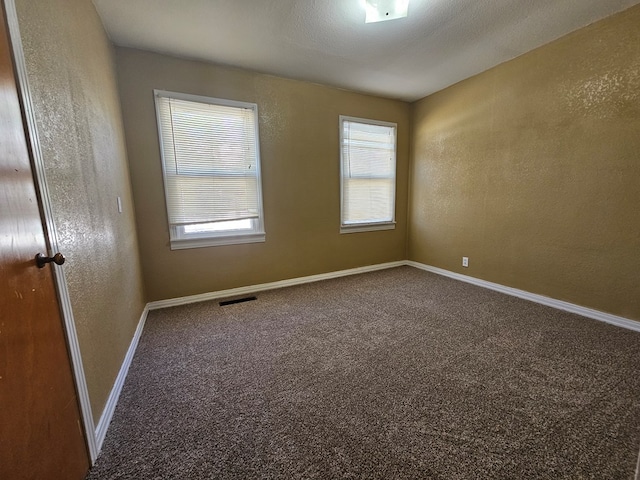 spare room featuring carpet flooring, a healthy amount of sunlight, and a textured ceiling