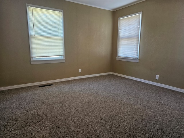 carpeted empty room with a wealth of natural light and ornamental molding