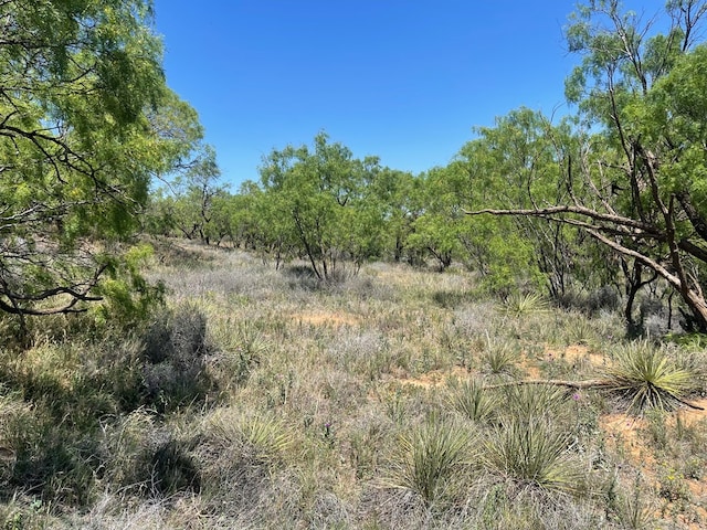 0000 Fm 669, Big Spring, TX 79720