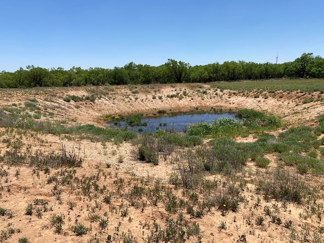 0000 Fm 669, Big Spring, TX 79720