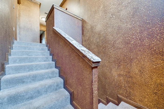 staircase featuring carpet flooring