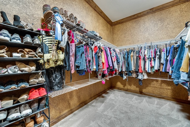 spacious closet featuring carpet