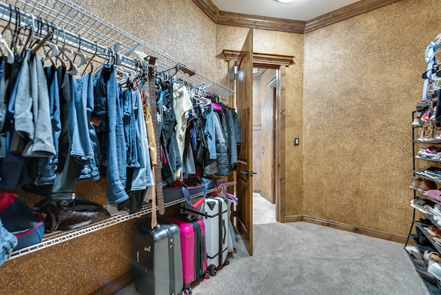 spacious closet with carpet