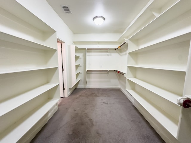 walk in closet with carpet floors