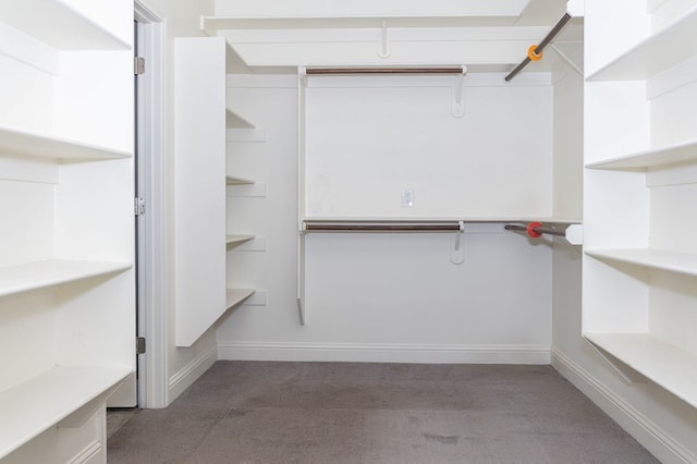 walk in closet featuring light carpet