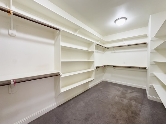 spacious closet featuring dark colored carpet