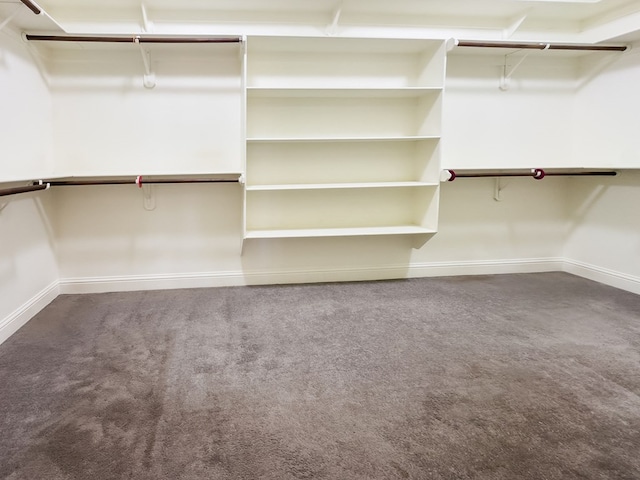 spacious closet with carpet flooring