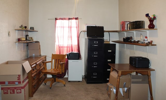1851 W Gonzalez Loop, Fort Stockton, TX 79735 - photo 22