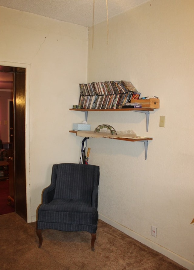 1851 W Gonzalez Loop, Fort Stockton, TX 79735 - photo 24