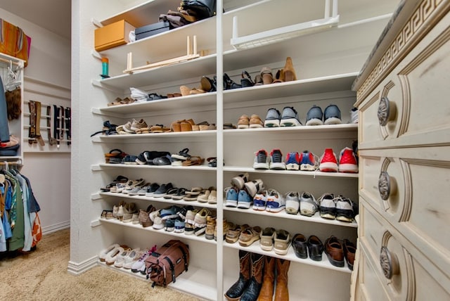 spacious closet with carpet flooring