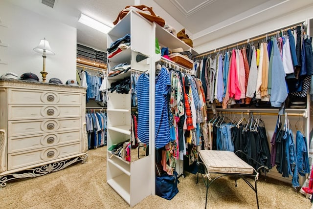 spacious closet featuring carpet flooring