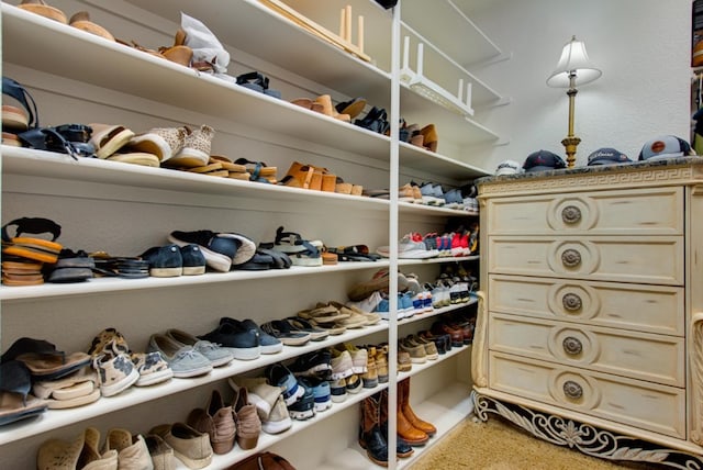 view of walk in closet