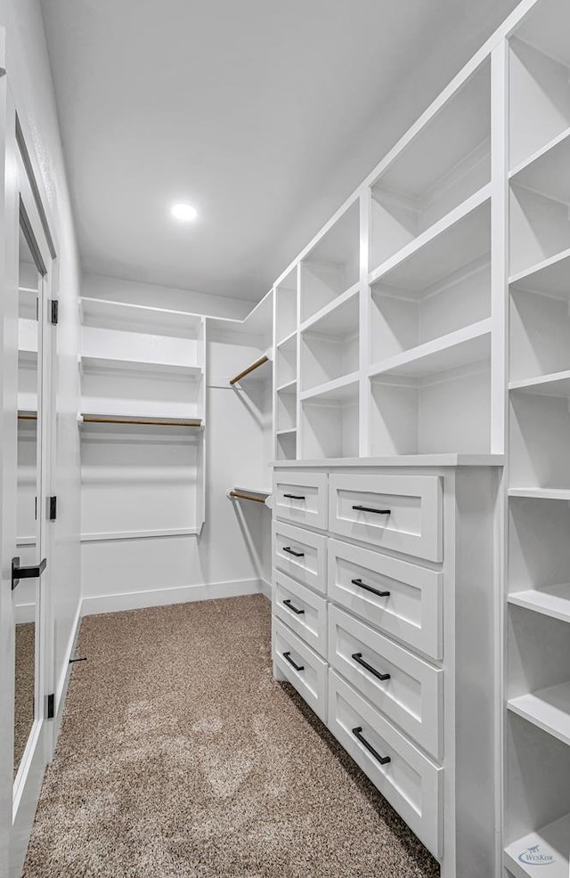 2200 S County Rd 1059, Midland, TX 79706 - walk in closet with carpet flooring
