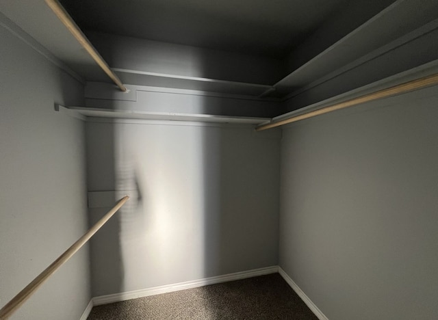 walk in closet with dark carpet