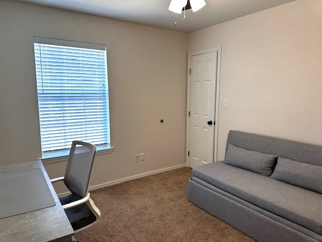 office space featuring carpet flooring and ceiling fan